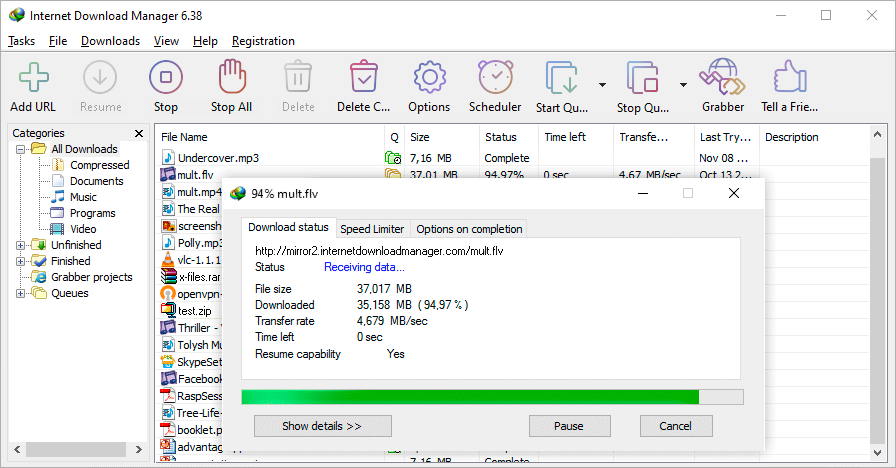 Internet Download Manager Main Interface Screenshot